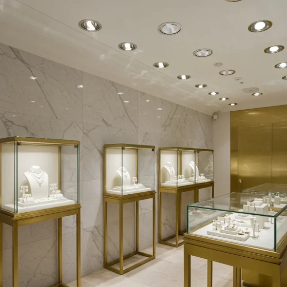 Adjustable 3-Inch LED Recessed Spotlight for Jewelry Boutique