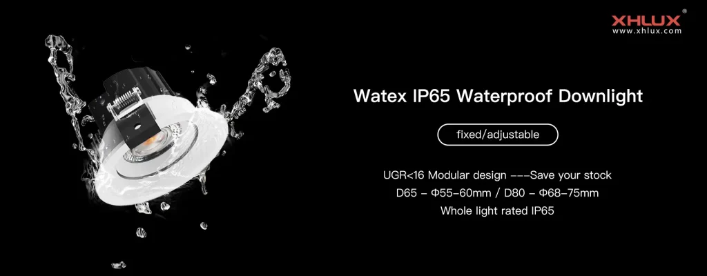 P65 Waterproof Downlight Supplier