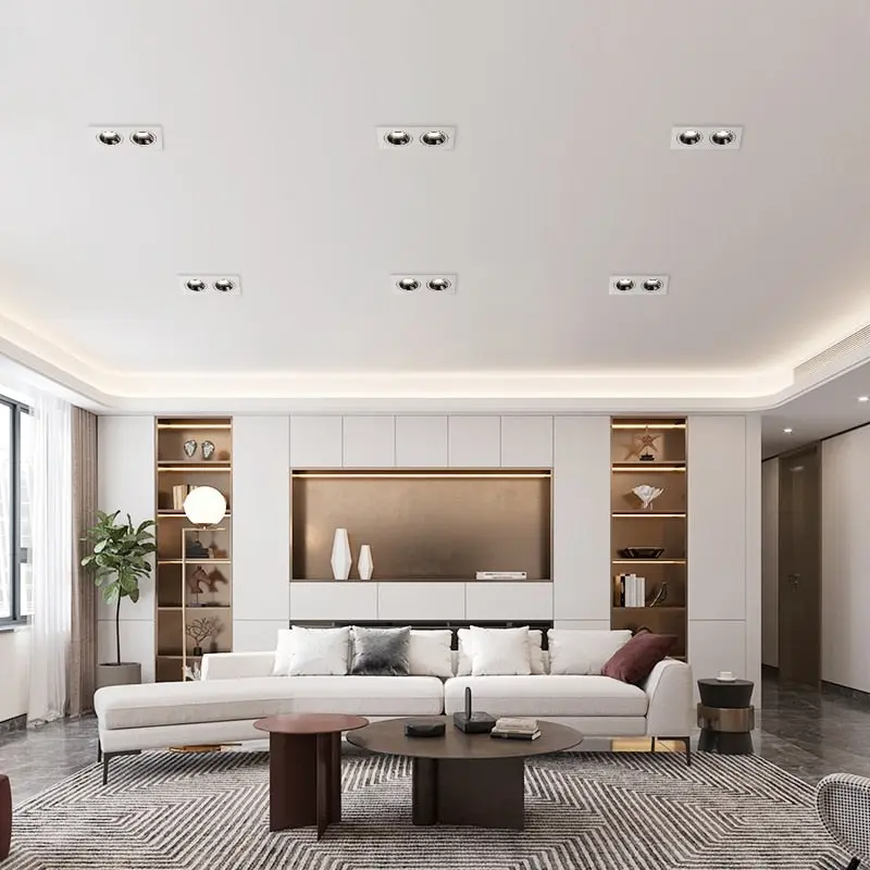Adjustable Double Head Recessed Ceiling Spotlight Fixture