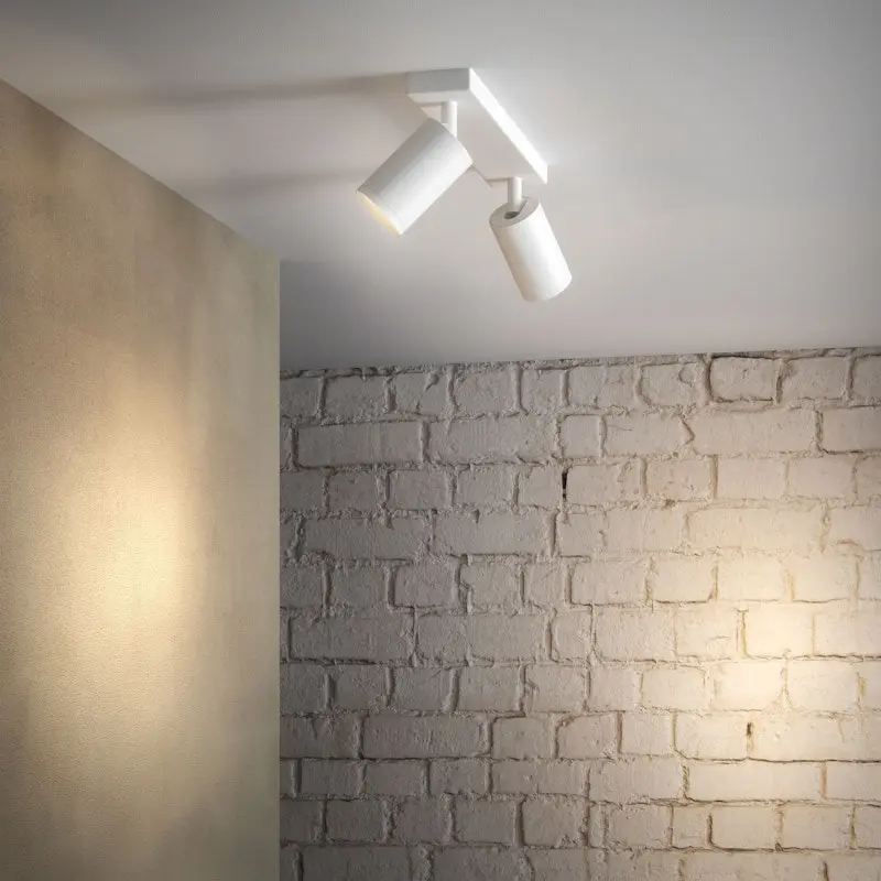 Dimmable Double Spotlight Ceiling System
